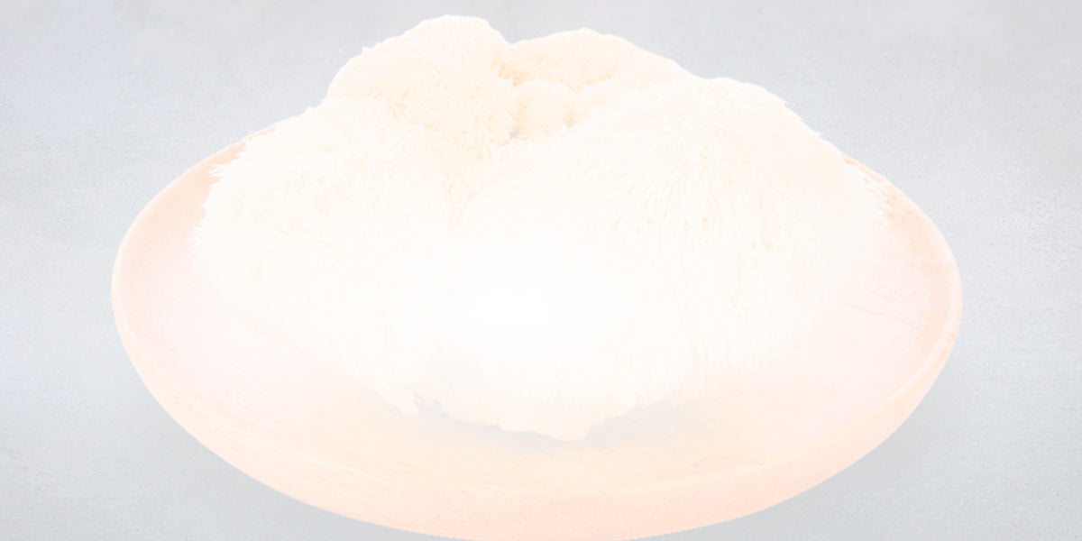 The 8 Benefits of Lion’s Mane Mushrooms (Hericium Erinaceus)