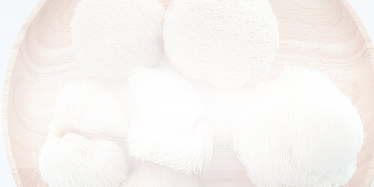 Mushroom Guide: How Does Lion’s Mane Make You Feel?