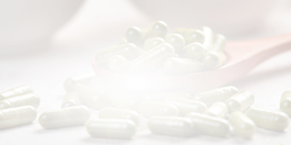 Can You Take Lion’s Mane Mushroom Every Day?