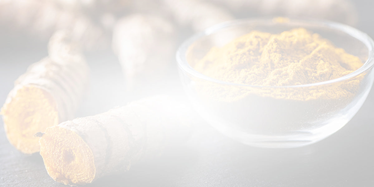 [Guide] How to Boost Absorption of Turmeric and Curcumin